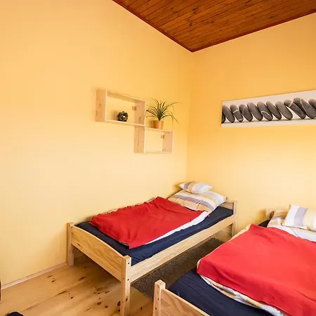 Vadmacska Vadasz Es Vendeghaz