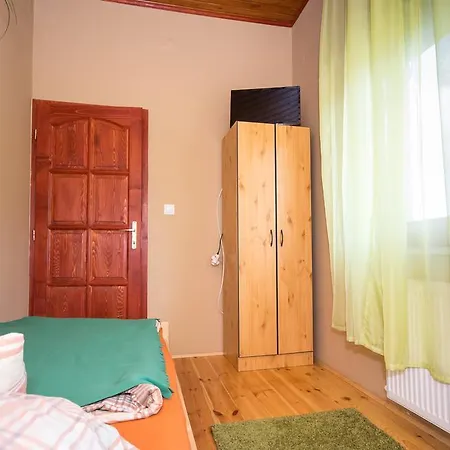Vadmacska Vadasz Es Vendeghaz