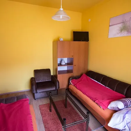 Vadmacska Vadasz Es Vendeghaz