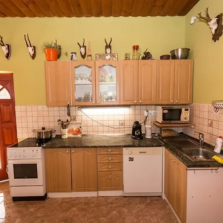 Vadmacska Vadasz Es Vendeghaz *